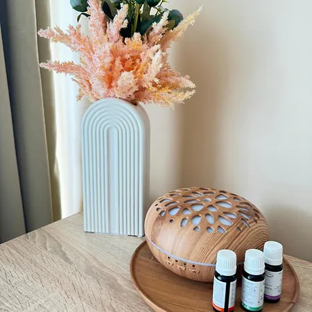 Mayana Appartament * Burgaz