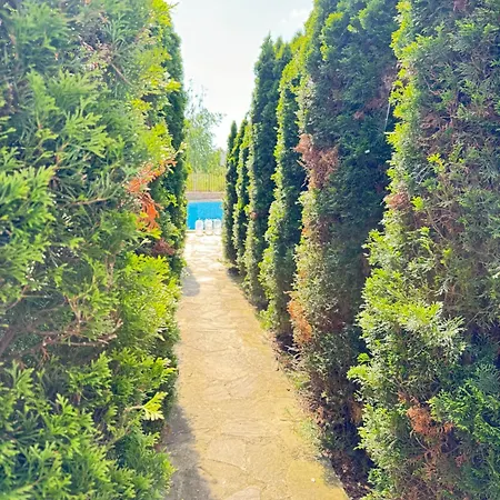 Daire Mayana Appartament *