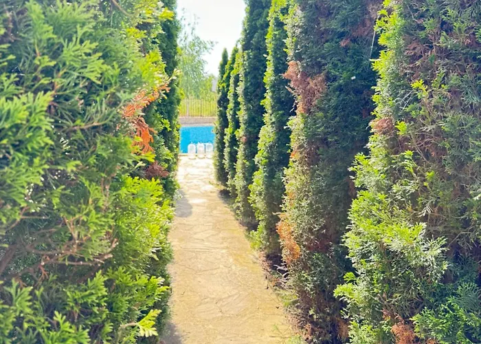 Апартаменты Mayana Appartament *